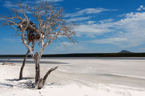 Bremer Bay B&B - Accommodation Australia 33