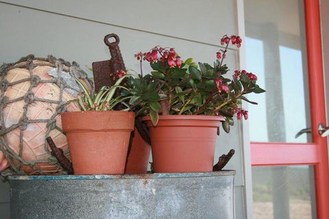 Bremer Bay B&B - Accommodation Australia 28