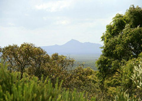 Bremer Bay B&B - Accommodation Australia 32