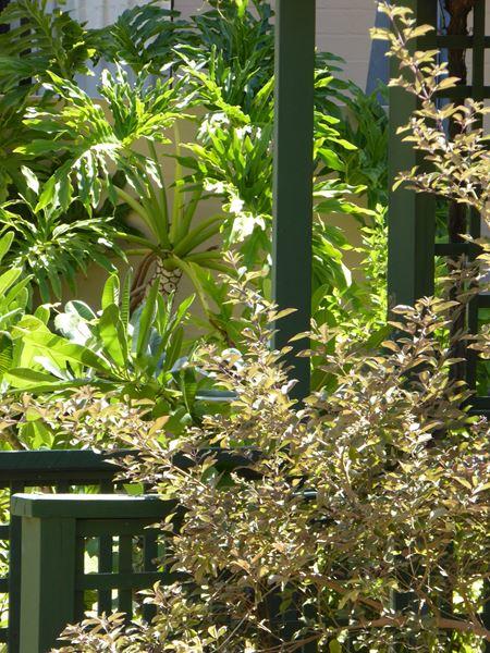 Kalbarri Beach Resort - Local Tourism 32