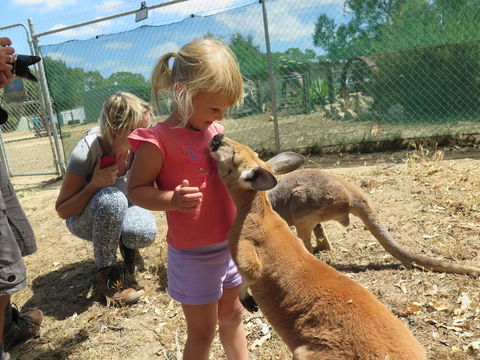 Jurien Beachfront Holiday Units - Accommodation Australia 36