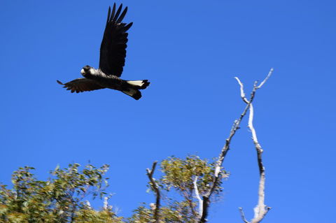 Eagle Bay House - Accommodation Australia 8