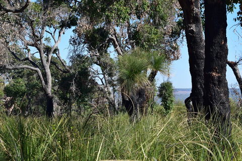 Eagle Bay House - Accommodation Australia 32