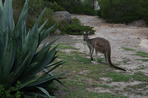 Aqua Views - Accommodation Australia 15