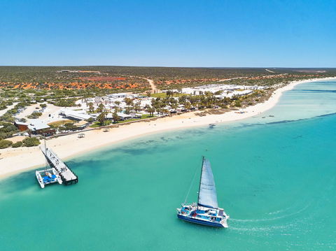 RAC Monkey Mia Dolphin Resort - Accommodation Australia 44