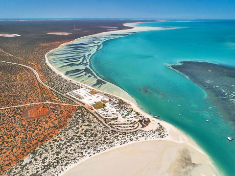 RAC Monkey Mia Dolphin Resort - Accommodation Australia 43