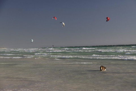 Dongara Tourist Park - Accommodation Australia 33