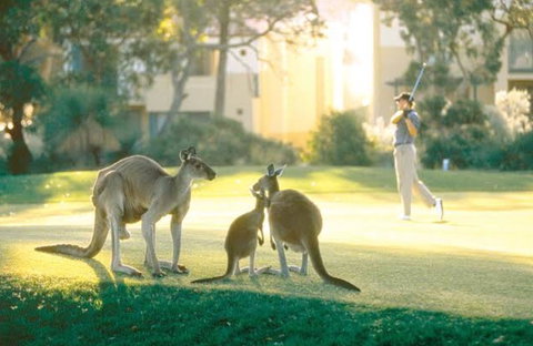 Ocean Reef Vista - Accommodation Australia 22