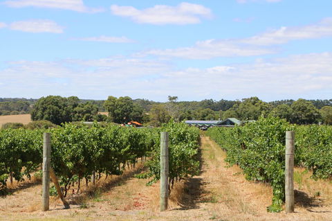 Burton Farmhouse - Accommodation Australia 11