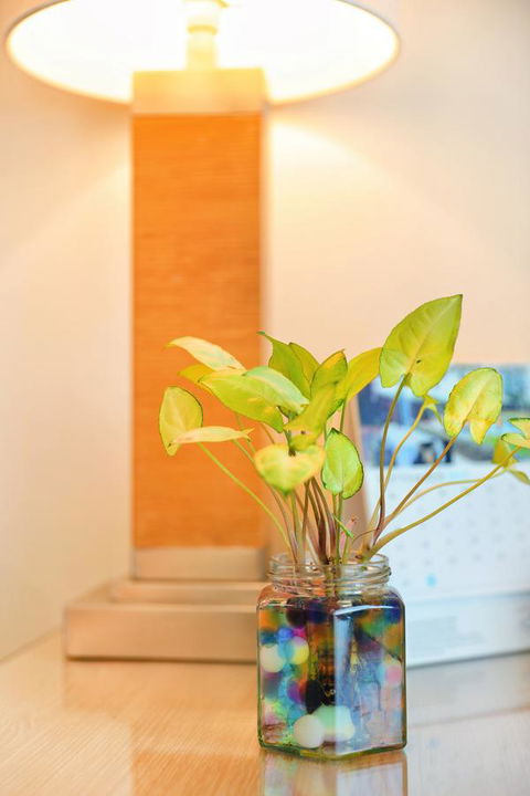 Bunbury Hotel Koombana Bay - Accommodation Australia 7