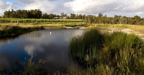 SilverSprings Spa Retreat Pet Friendly Cottages And Glampings - Accommodation Australia 2