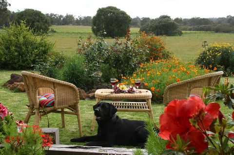 SilverSprings Spa Retreat Pet Friendly Cottages And Glampings - Accommodation Australia 0