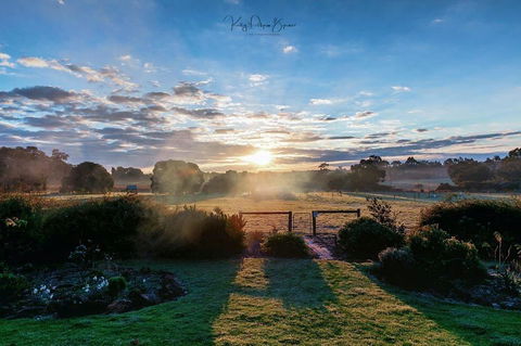 SilverSprings Spa Retreat Pet Friendly Cottages And Glampings - Accommodation Australia 26