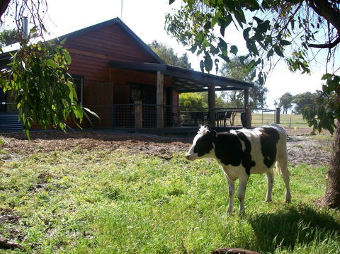 SilverSprings Spa Retreat Pet Friendly Cottages And Glampings - Accommodation Australia 23