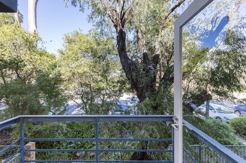 Cottesloe Tree Top Studio - Executive Escapes - Accommodation Australia 10