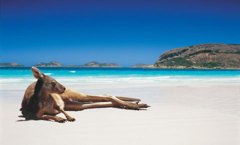 Esperance YHA - Accommodation Australia 14