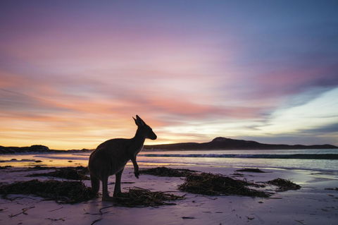 Esperance YHA - Accommodation Australia 20