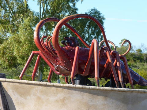 Leander Reef Holiday Park - Australia Shopping 4