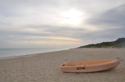 Eagle Bay Discovery - Local Tourism 1