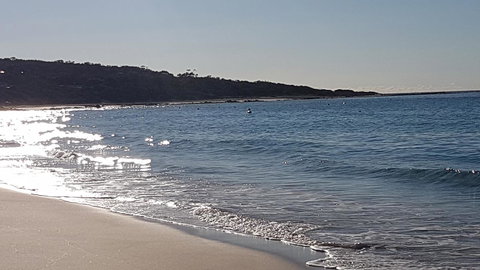 Eagle Bay Discovery - Local Tourism 0