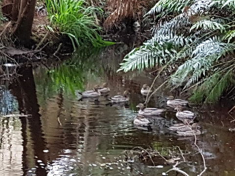 Strahan Retreat Holiday Park - Accommodation Australia 24