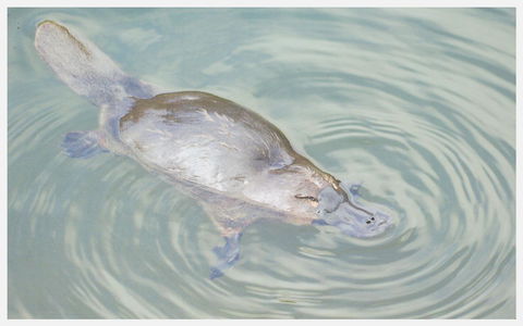 Strahan Retreat Holiday Park - Accommodation Australia 20