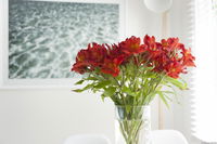 Book Kingston Beach Accommodation Vacations Accommodation Australia Accommodation Australia