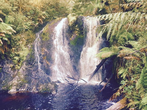 Wandering Geese Boutique Bed And Breakfast - Accommodation Australia 29