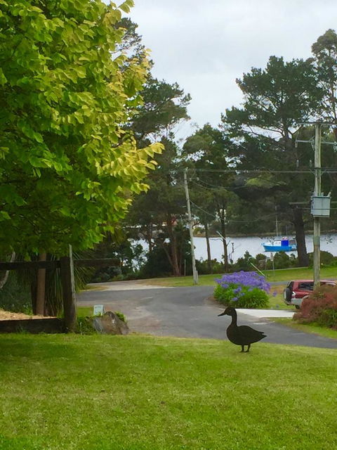 Wandering Geese Boutique Bed And Breakfast - Accommodation Australia 15