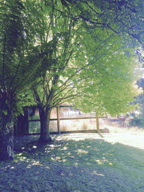 Wandering Geese Boutique Bed And Breakfast - Accommodation Australia 30