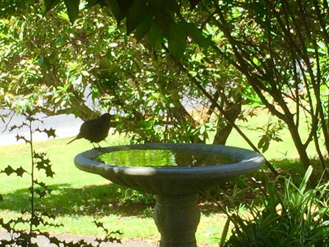 Wandering Geese Boutique Bed And Breakfast - Accommodation Australia 19
