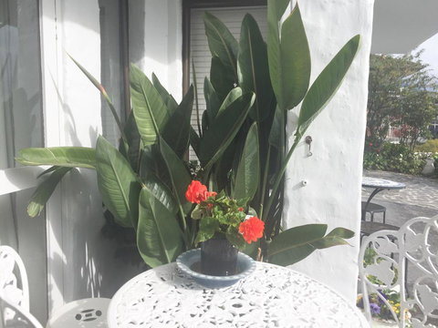 Million Dollar Views - Accommodation Australia 30