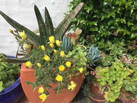 Million Dollar Views - Accommodation Australia 6