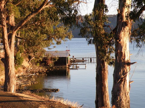 Driftwood - Accommodation Australia 13