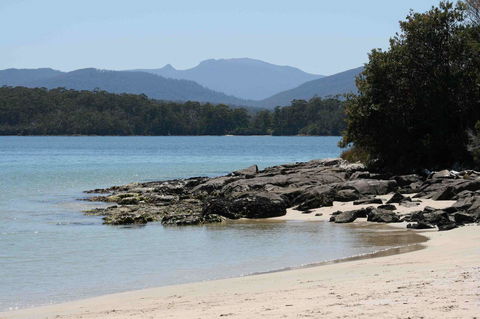 Driftwood - Accommodation Australia 14