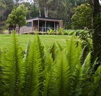 Tyenna River Cottage - Local Tourism