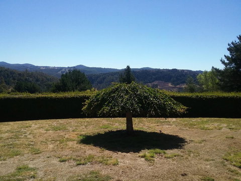 Robin\'s Nest B&B - Australia Shopping 28