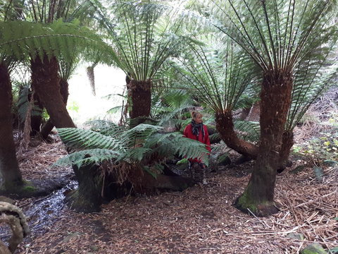 Robin\'s Nest B&B - Australia Shopping 9