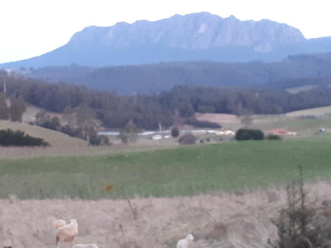 Robin\'s Nest B&B - Australia Shopping 32