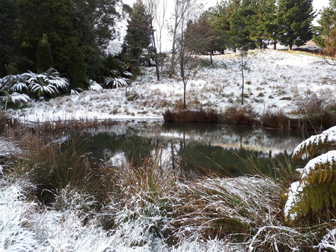 Robin\'s Nest B&B - Australia Shopping 25