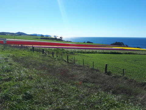 Robin\'s Nest B&B - Australia Shopping 26