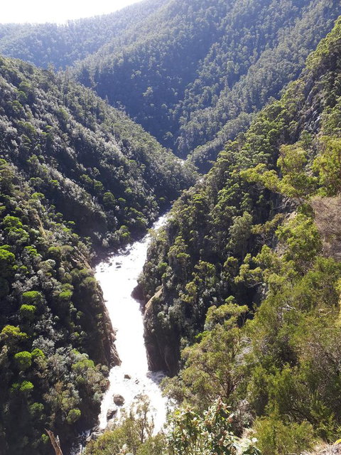 Robin\'s Nest B&B - Australia Shopping 22