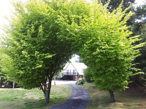 Robin\'s Nest B&B - Australia Shopping 10