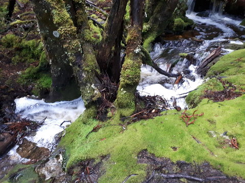 Robin\'s Nest B&B - Australia Shopping 27