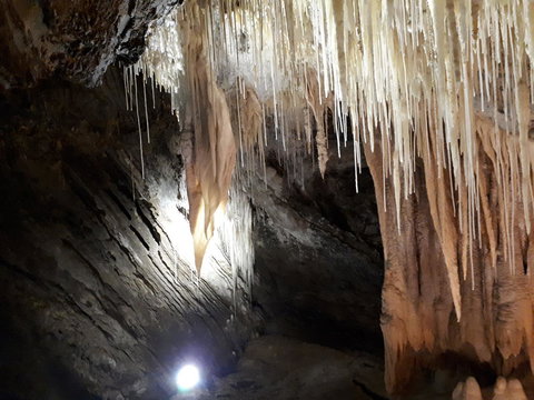 Robin\'s Nest B&B - Australia Shopping 29