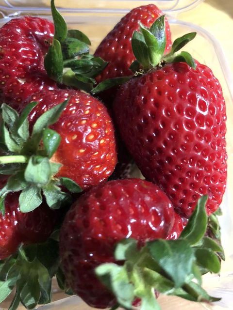 Richmond Bridge Accommodation â€œTwo The Bridgeâ€ - Accommodation Australia 17