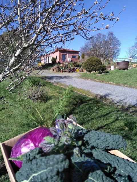Cherry Top Farmstay - Boutique Eco Village - Australia Shopping 23