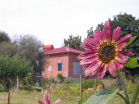 Cherry Top Farmstay - Boutique Eco Village - Australia Shopping 27