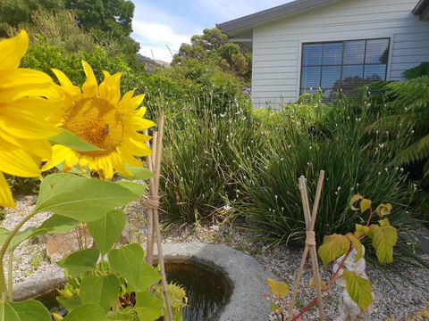 Garden By The Beach - Gateway To The East Coast, Close To Airport - Accommodation Australia 13