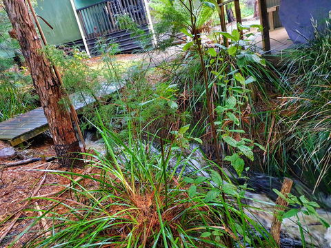 Roland B&B - Accommodation Australia 17